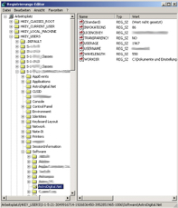 the-data-in-the-registry