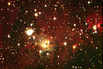 NGC2264